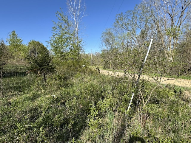 LotC Stoney Lane, Eaton Rapids, MI 48827
