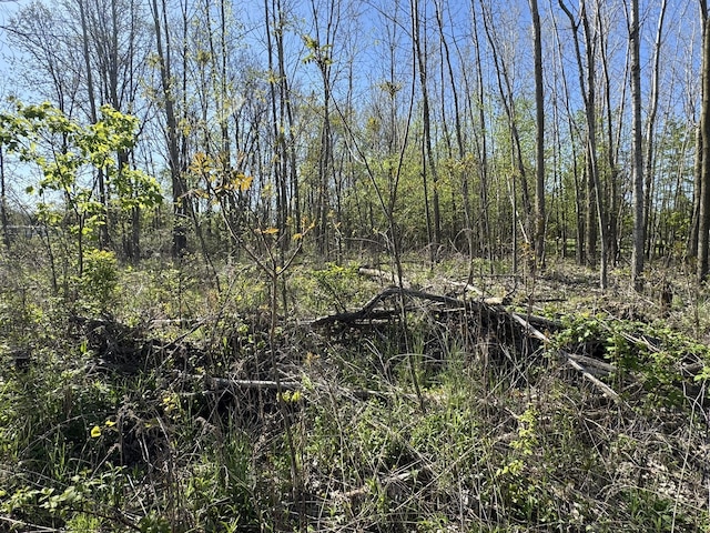 LotC Stoney Lane, Eaton Rapids, MI 48827
