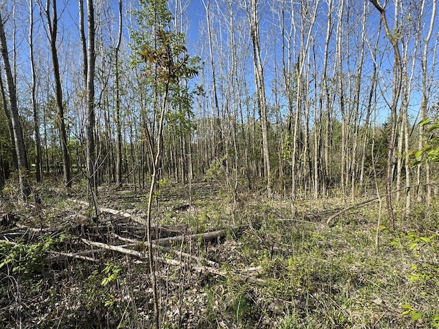 LotC Stoney Lane, Eaton Rapids, MI 48827