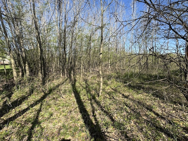 LotC Stoney Lane, Eaton Rapids, MI 48827