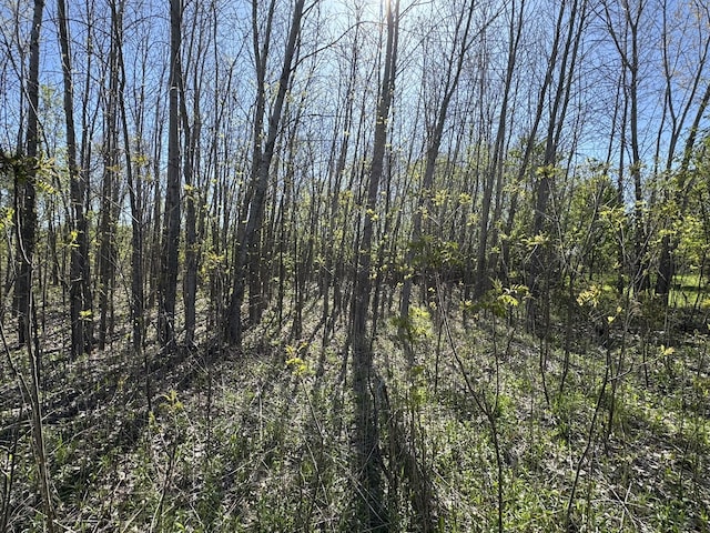 LotC Stoney Lane, Eaton Rapids, MI 48827