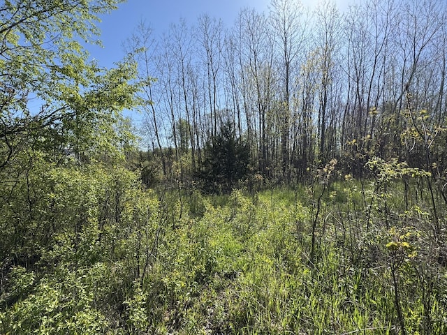 LotC Stoney Lane, Eaton Rapids, MI 48827