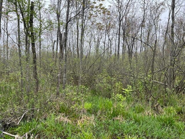 VL 40th Ave, Remus, MI 49340