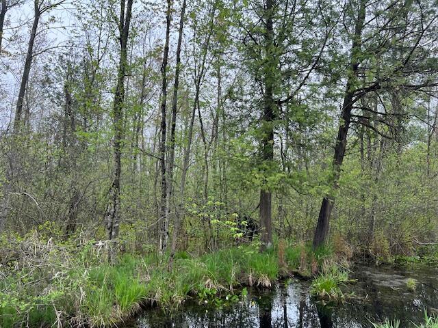 VL 40th Ave, Remus, MI 49340