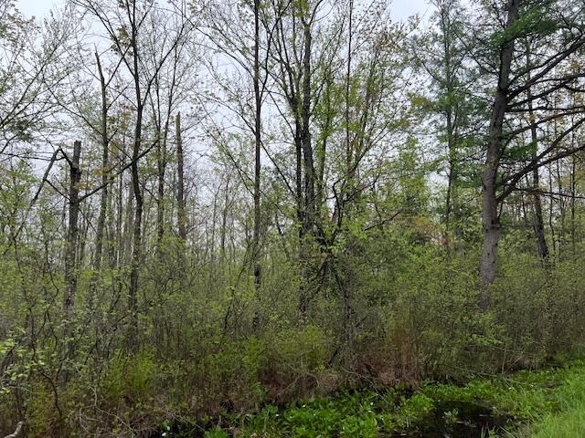 VL 40th Ave, Remus, MI 49340