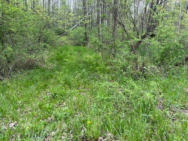 VL 40th Ave, Remus, MI 49340