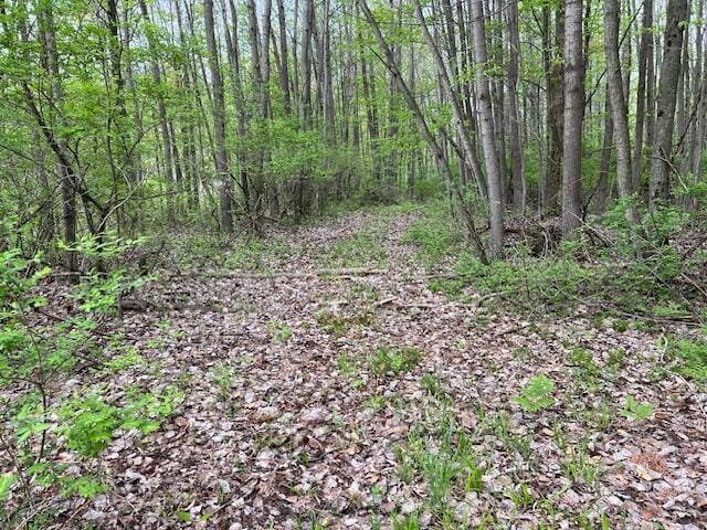 VL 40th Ave, Remus, MI 49340