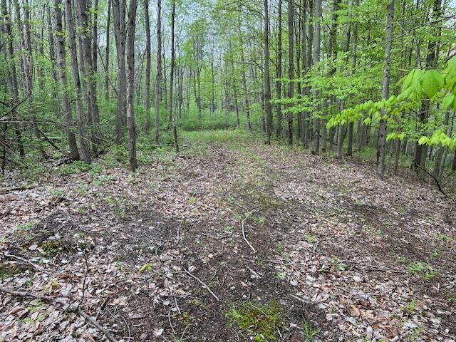 VL 40th Ave, Remus, MI 49340