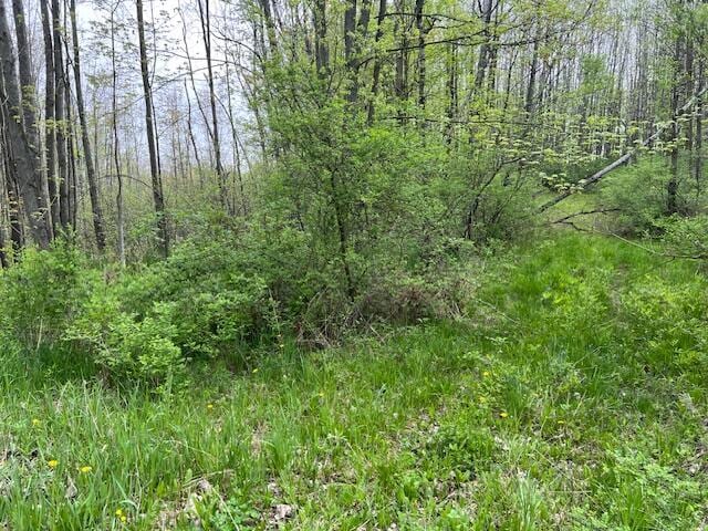 VL 40th Ave, Remus, MI 49340