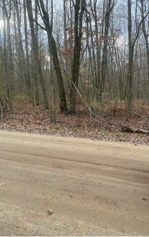 LOT3 Pakes Rd, Stanton, MI 48888