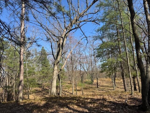 40ACRES 150th Ave, Leroy, MI 49655