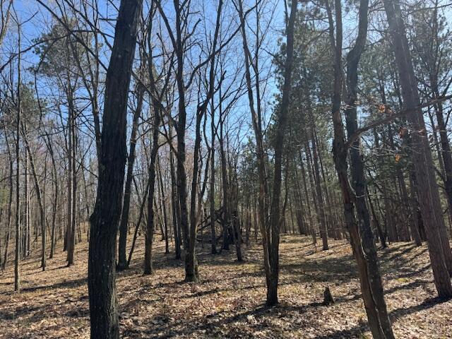 40ACRES 150th Ave, Leroy, MI 49655