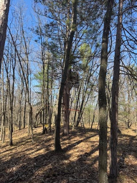 40ACRES 150th Ave, Leroy, MI 49655