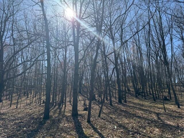 40ACRES 150th Ave, Leroy, MI 49655
