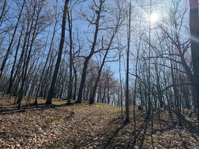 40ACRES 150th Ave, Leroy, MI 49655