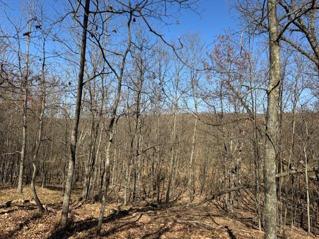 40ACRES 150th Ave, Leroy, MI 49655