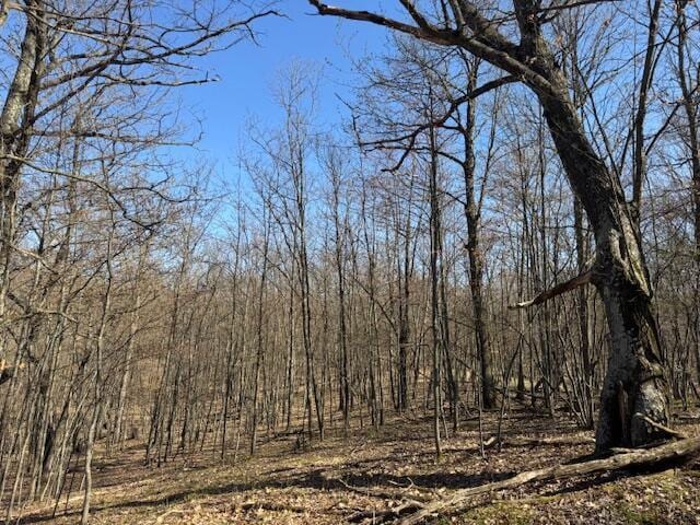 40ACRES 150th Ave, Leroy, MI 49655