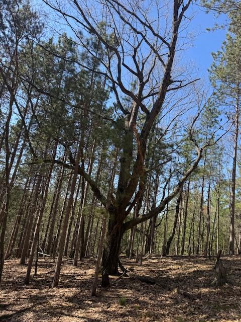 40ACRES 150th Ave, Leroy, MI 49655
