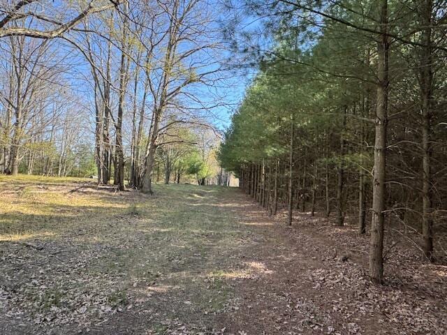 40ACRES 150th Ave, Leroy, MI 49655