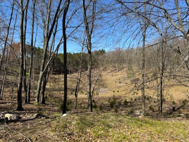 40ACRES 150th Ave, Leroy, MI 49655