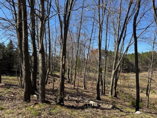40ACRES 150th Ave, Leroy, MI 49655