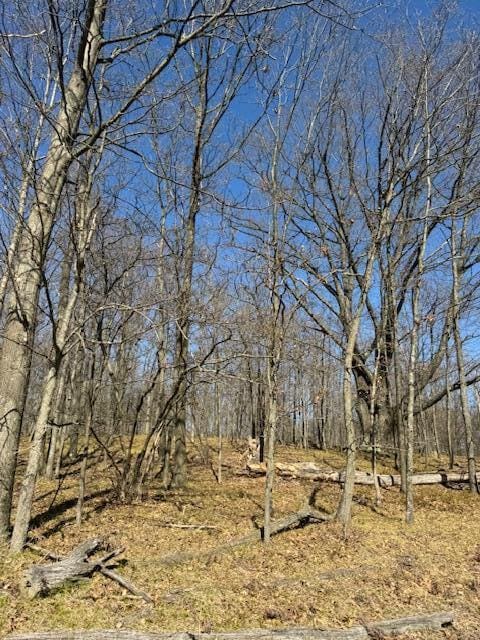 40ACRES 150th Ave, Leroy, MI 49655