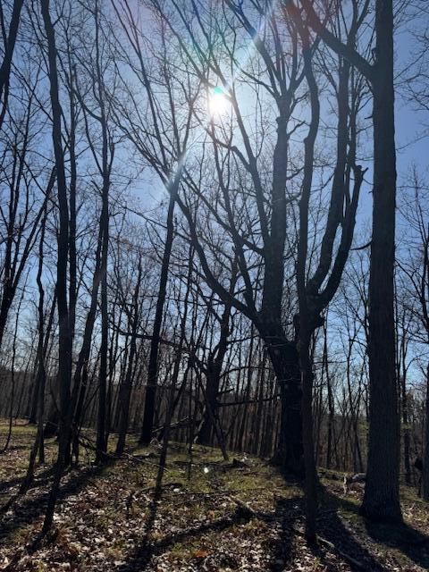 40ACRES 150th Ave, Leroy, MI 49655