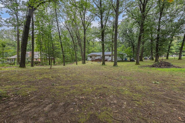 13195 Rainbow Dr, Gregory, MI 48137 - view of yard