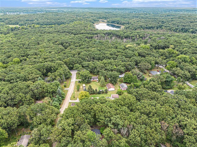13195 Rainbow Dr, Gregory, MI 48137 - aerial view of property's location with a forest