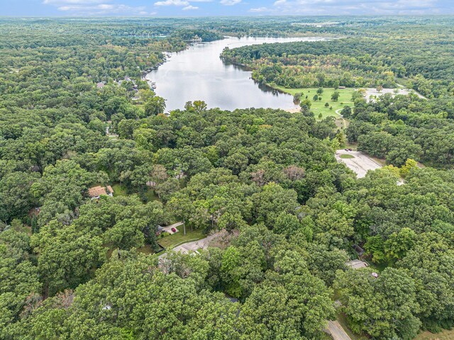 13195 Rainbow Dr, Gregory, MI 48137 - aerial overview of property's location featuring a nearby body of water and a forest