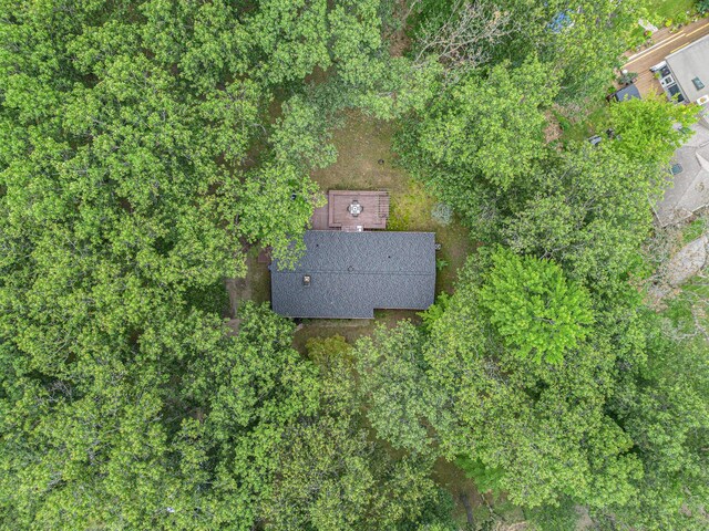 13195 Rainbow Dr, Gregory, MI 48137 - aerial view of property and surrounding area