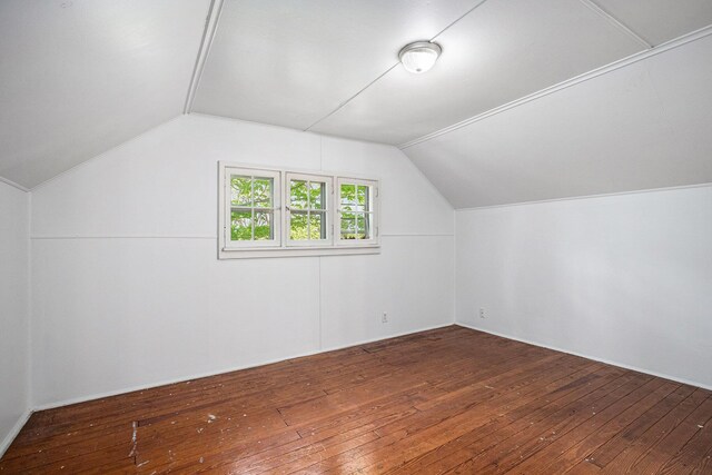 7566 Red Arrow Hwy, Stevensville, MI 49127 - bonus room featuring vaulted ceiling and wood-type flooring