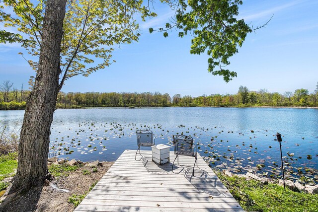 8700 E Napier Ave, Benton Harbor, MI 49022 - dock area with a water view and a wooded view