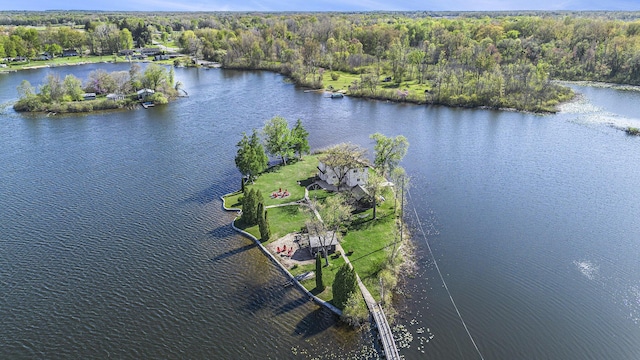 8700 E Napier Ave, Benton Harbor, MI 49022 - aerial view of a nearby body of water and a forest