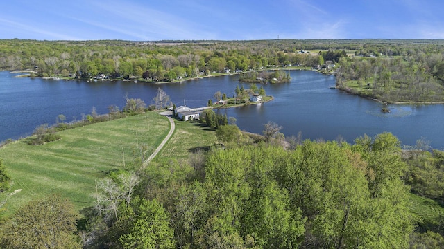 8700 E Napier Ave, Benton Harbor, MI 49022 - bird's eye view of a heavily wooded area and a nearby body of water