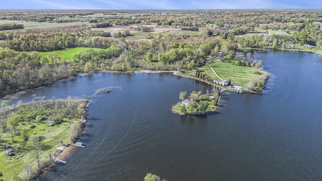 8700 E Napier Ave, Benton Harbor, MI 49022 - aerial overview of property's location featuring a large body of water and a forest