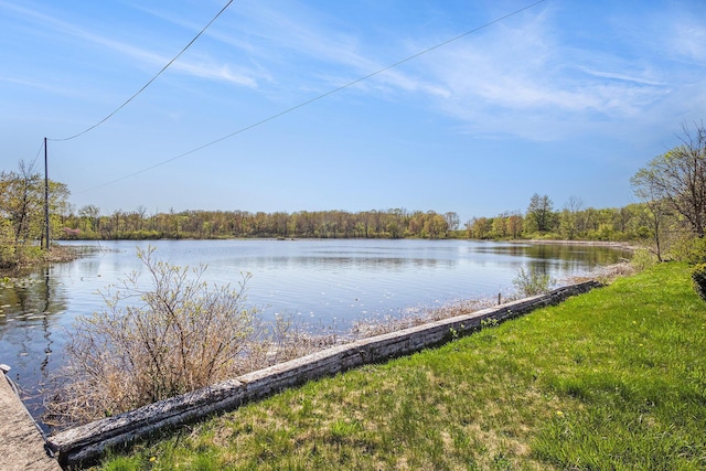 8700 E Napier Ave, Benton Harbor, MI 49022 - water view featuring a forest