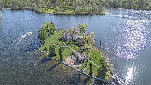 8700 E Napier Ave, Benton Harbor, MI 49022 - aerial view of a large body of water and a forest