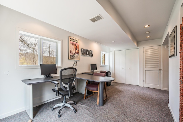 2277 W Huron River Dr, Ann Arbor, MI 48103 - home office with dark colored carpet, baseboards, plenty of natural light, and recessed lighting