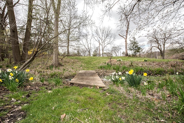2277 W Huron River Dr, Ann Arbor, MI 48103 - view of yard