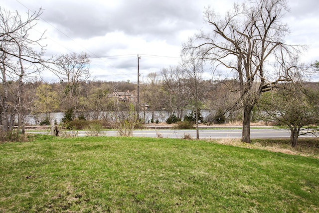 2277 W Huron River Dr, Ann Arbor, MI 48103 - view of grassy yard