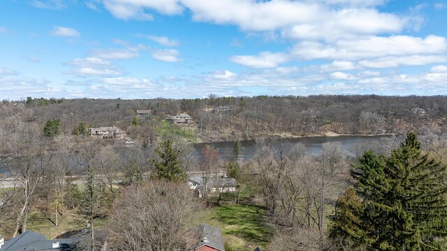 2277 W Huron River Dr, Ann Arbor, MI 48103 - drone / aerial view of a heavily wooded area and a large body of water