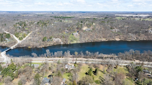 2277 W Huron River Dr, Ann Arbor, MI 48103 - view of property location featuring a nearby body of water and a forest