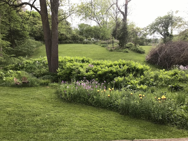 2277 W Huron River Dr, Ann Arbor, MI 48103 - view of green lawn