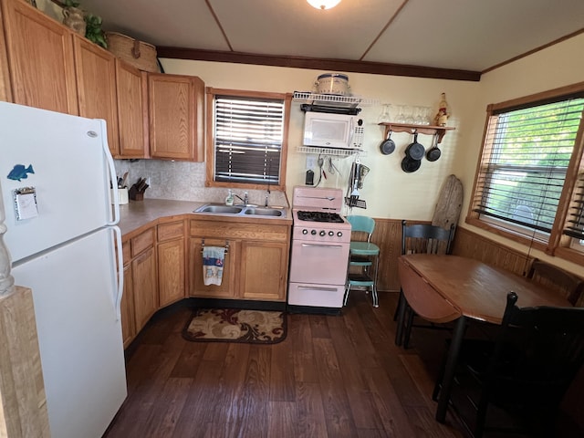 6439 E Sugar Grove Rd, Fountain, MI 49410 - kitchen with white appliances, a sink, dark wood finished floors, and healthy amount of natural light