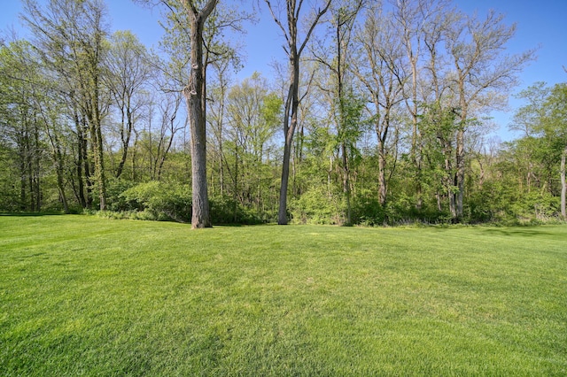 10478 River Edge Rd, Saline, MI 48176 - view of green lawn