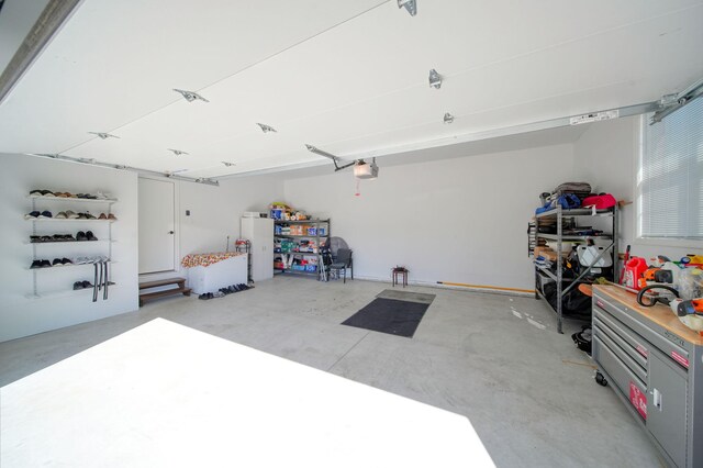 10478 River Edge Rd, Saline, MI 48176 - view of garage