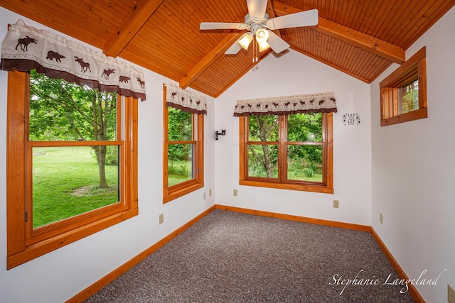 16913 Penny Ave NE, Sand Lake, MI 49343 - unfurnished room featuring wooden ceiling, healthy amount of natural light, ceiling fan, carpet, and baseboards