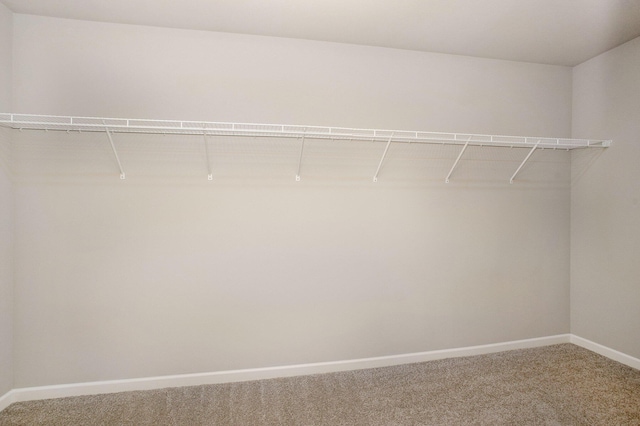 10315 Hatch Ln, Galesburg, MI 49053 - spacious closet featuring carpet flooring