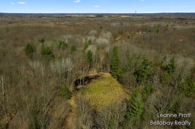 VL W Weidman Rd, Weidman, MI 48893